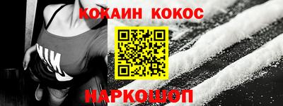 стафф Дубна