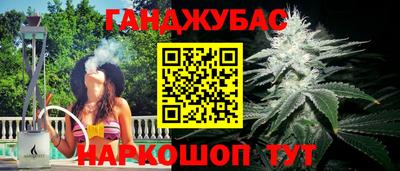 стафф Дубна