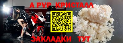 стафф Дубна