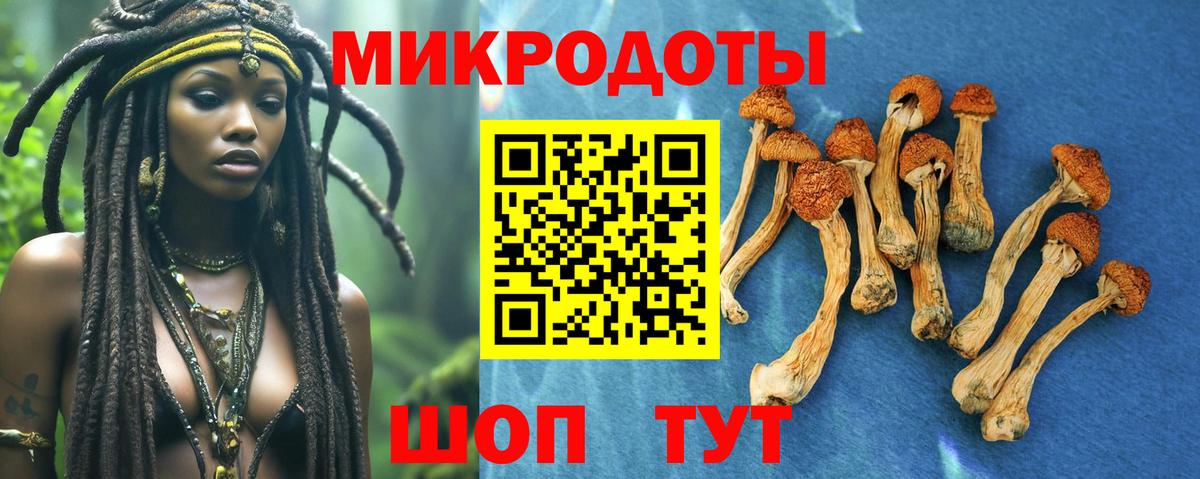 купить закладку  Галлюциногенные грибы мухоморы  Кудымкар  Вход с VPN  Галлюциногенные грибы GOLDEN TEACHER 